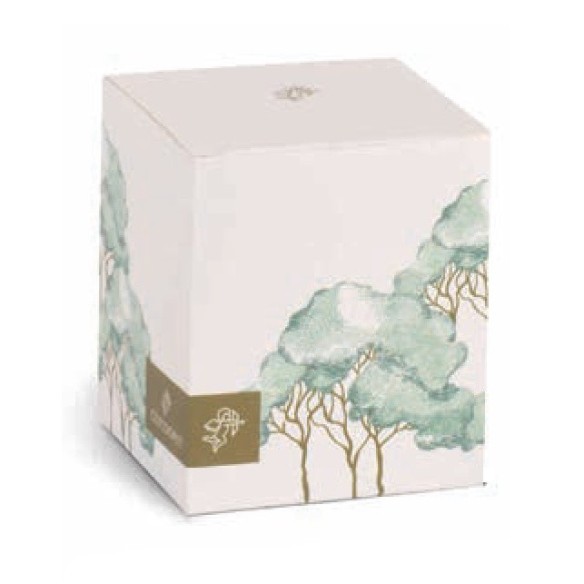 Bomboniera Bottiglia Olio  Trees  300ml C/ scatola  H.160mm art 200589S