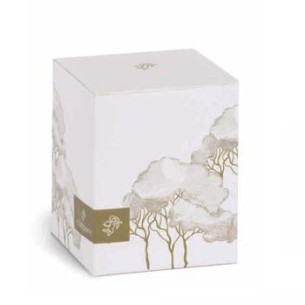 Bomboniera PROFUM.SPRAY 100 ML INTRECCI AVORIO C/SCAT.H.160 ART.200299S 2