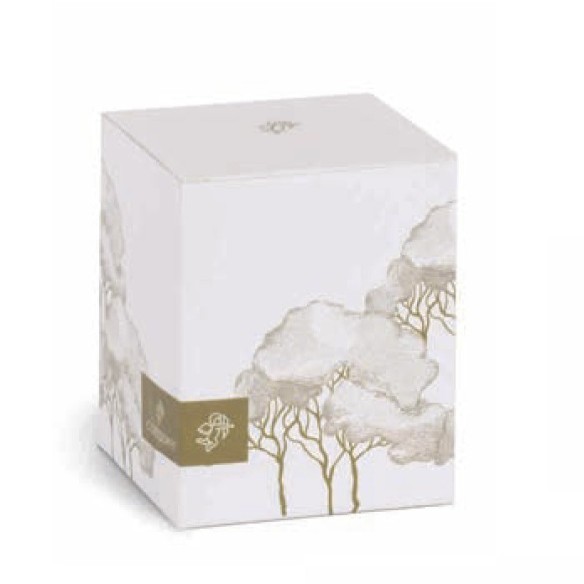 Bomboniera Bomboniera DIFFUSORE 400 ML INTRECCI AVORIO C/SCATOLA D.65XH.220 art 200301S