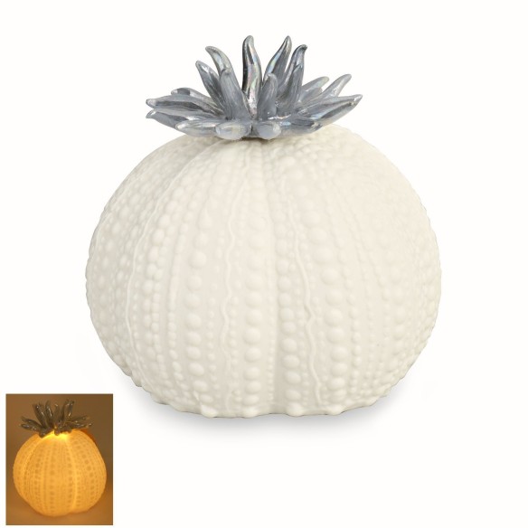 Bomboniera Riccio Corallo Azzurro ceramica Bianca con luce led gialla art 28312