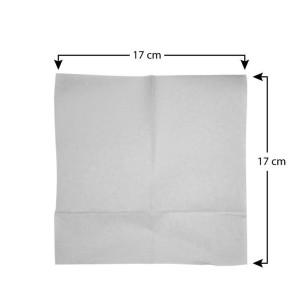 Tovaglioli carta da Bar per dispenser misura 17x17 cm conf. 2000 pz art SAL1717 2