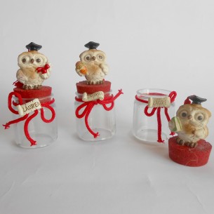 Bomboniera Decorazione Barattolo vetro con Gufo resina h 10 cm Laurea set 3 pz art 049683