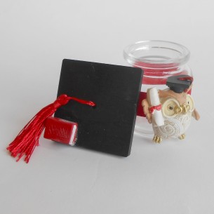 Bomboniera Decorazione Barattolo vetro con Gufo resina h 6,5 cm Laurea set 2 pz art 049687 2