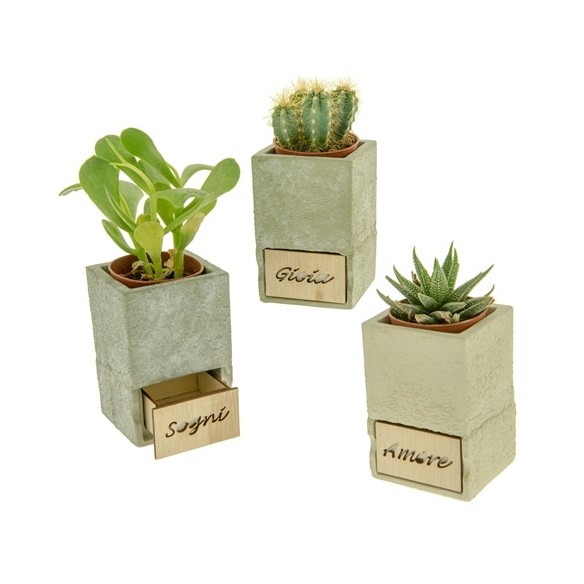 Bomboniera Porta Pianta in Terracotta colore Grigio 9 x h 10 cm set 3 pz Art 02A101